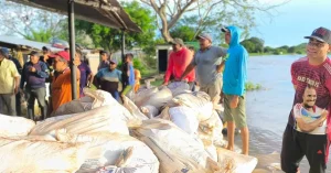 Comandante de la ZODI N° 31 y comandante de la GNB N°…